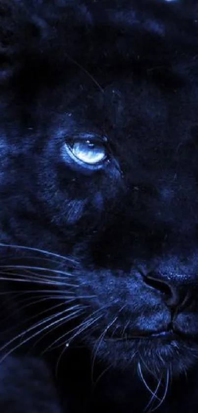 Majestic black panther with blue eyes in a dark, mystical setting.