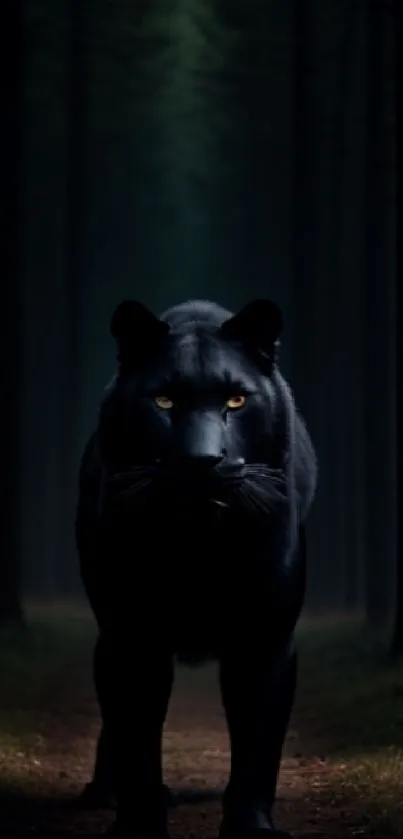 A majestic panther walks through a dark, atmospheric forest path.