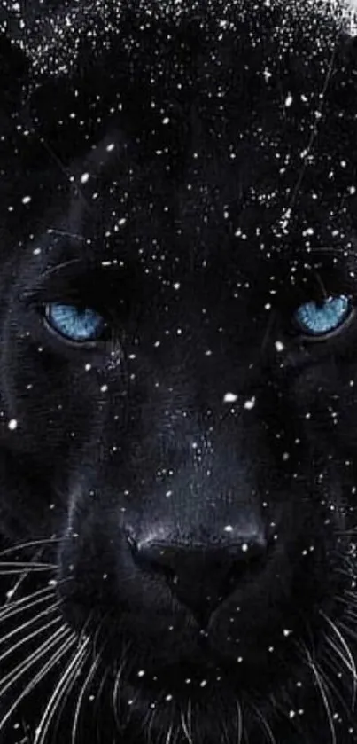 Black panther with blue eyes surrounded by snowflakes on dark background.