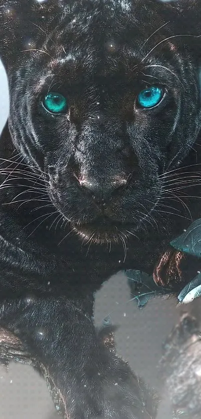 Majestic panther with cyan eyes mobile wallpaper.