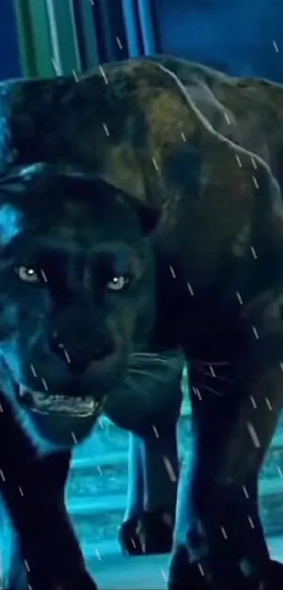 Black panther prowling down illuminated stairs at night.