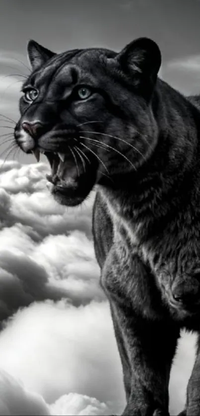 Panther standing among the clouds showcasing elegance.