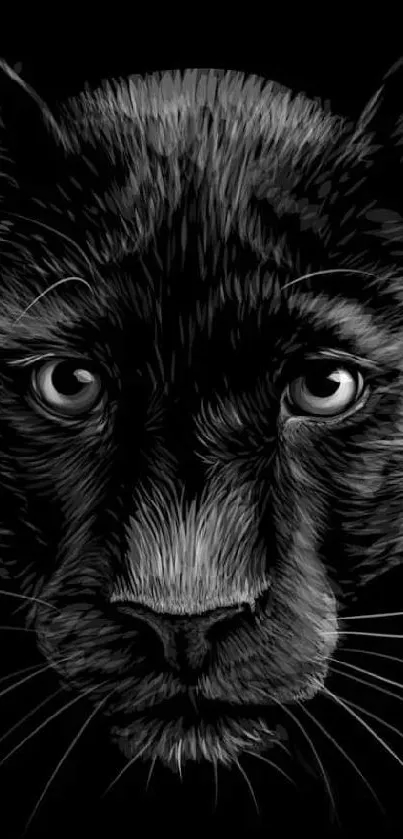 Black and white panther wallpaper for mobile phone.