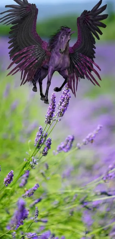 A majestic Pegasus flies over a lavender field.