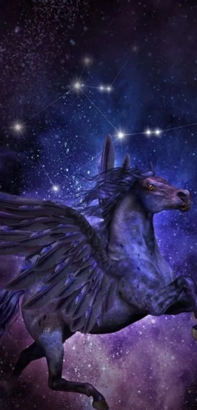 Mystical Pegasus flies through a starry galaxy night.