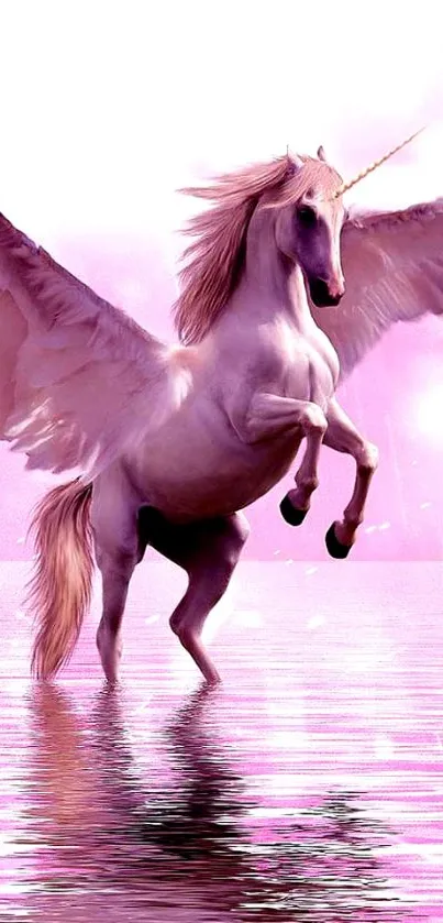 Majestic pegasus with wings over pink water.