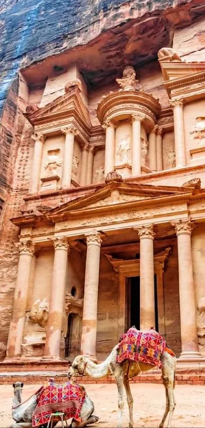 Mobile wallpaper of Petra's ancient facade with camels in foreground.