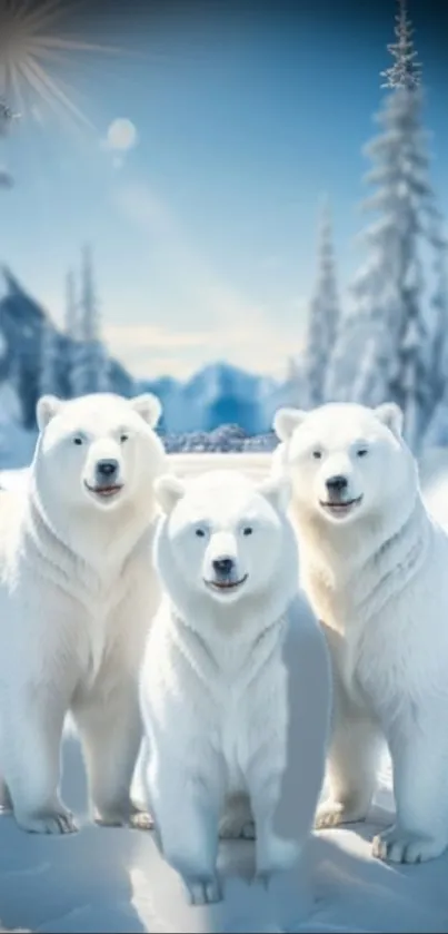 Majestic white polar bear trio in snowy landscape with sunlit sky.