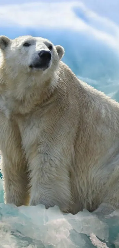 Majestic polar bear sitting on icy landscape.