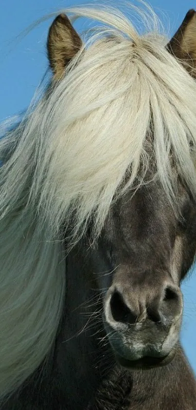 Majestic pony with flowing mane under blue sky.