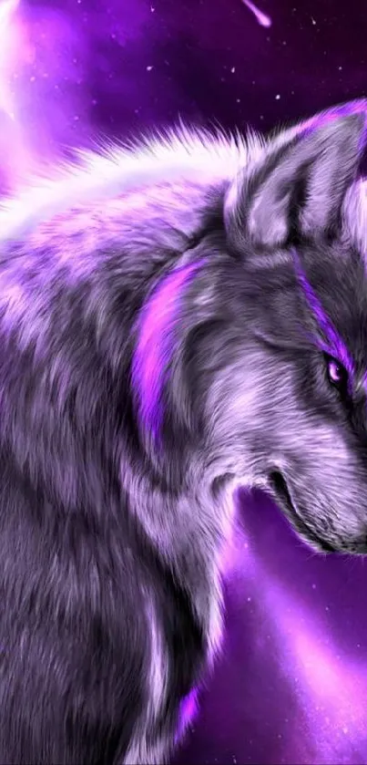 Majestic wolf in a purple galaxy wallpaper.