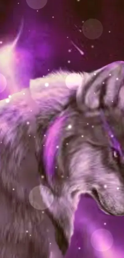 Majestic wolf with purple tones in a fantasy setting for mobile wallpaper.