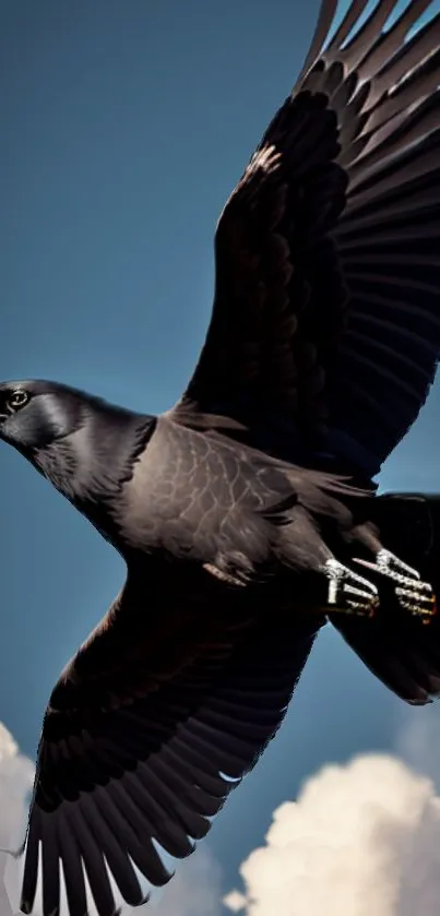 Majestic raven soaring in a blue sky.