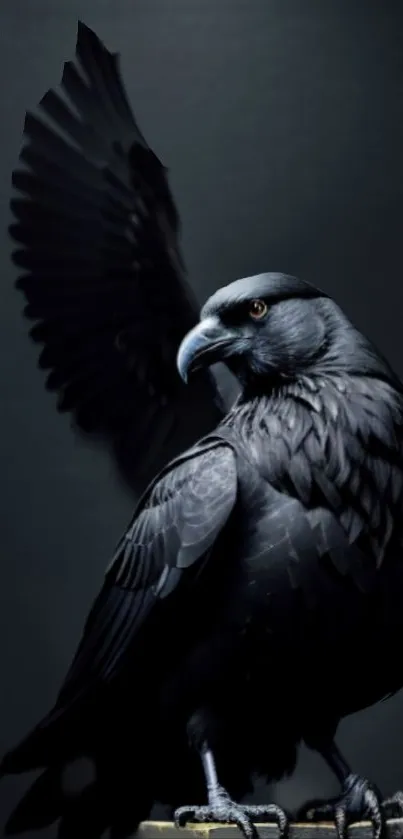 Majestic raven with outstretched wings on a dark background.