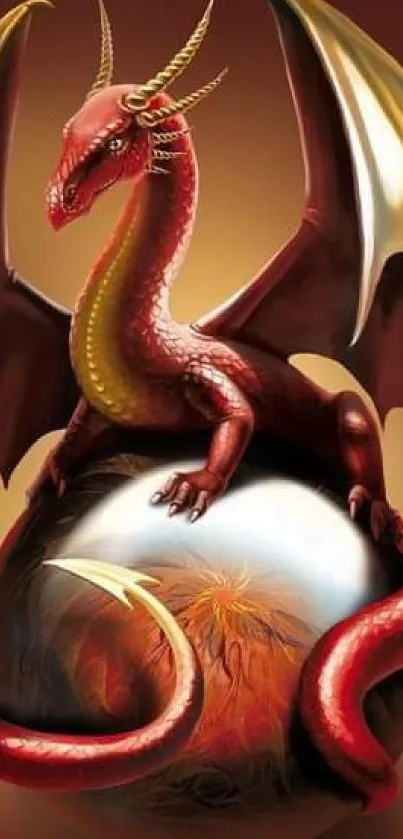 Majestic red dragon on mystical orb wallpaper.