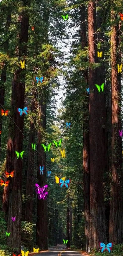 Road through towering redwoods forest, serene and majestic.