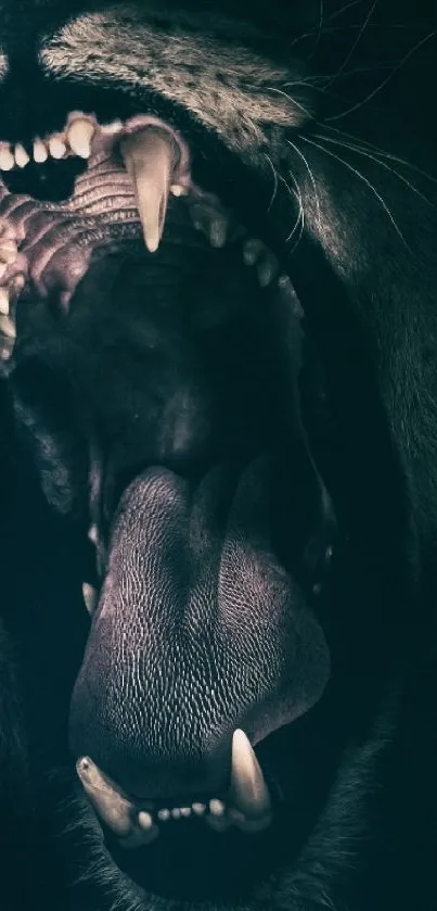 Close-up of a roaring lion face in dark tones for mobile wallpaper.