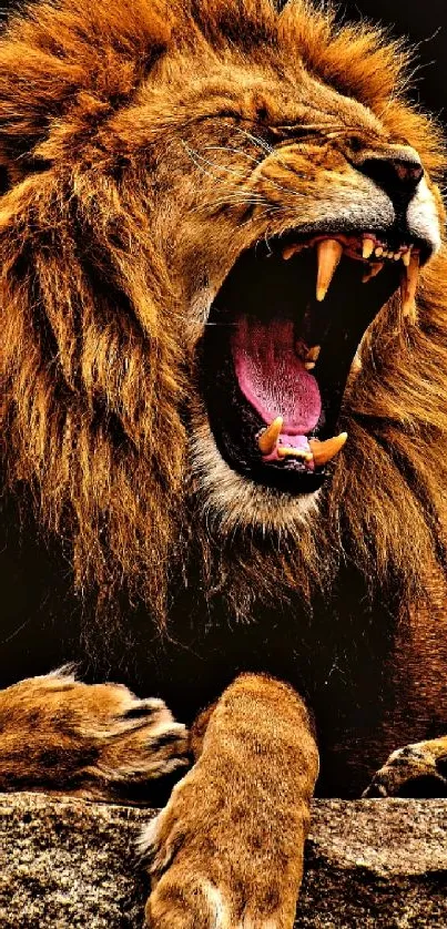 Majestic roaring lion with open mouth and sharp teeth, showcasing its power.