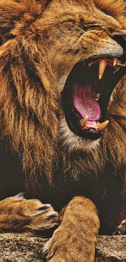 Close-up of a roaring lion with vibrant colors, showcasing its majestic mane.