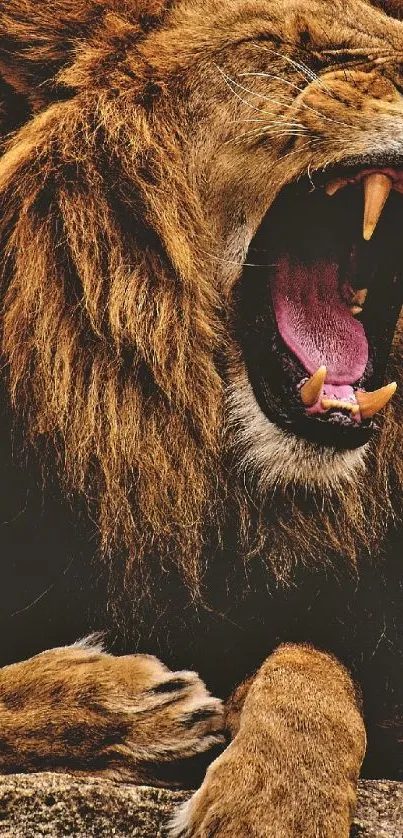 Close-up of a roaring lion showcasing its mane and teeth in a dramatic pose.