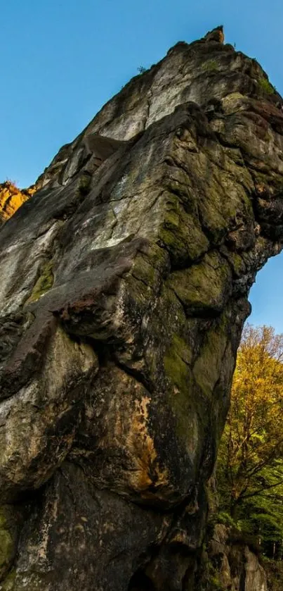 Majestic towering rock in a forest with blue sky backdrop.