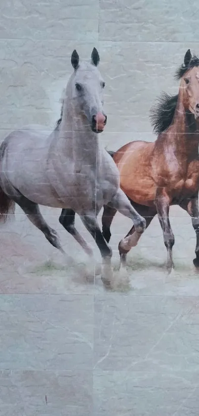 Two majestic horses galloping freely in harmony, conveying dynamic, equestrian beauty.