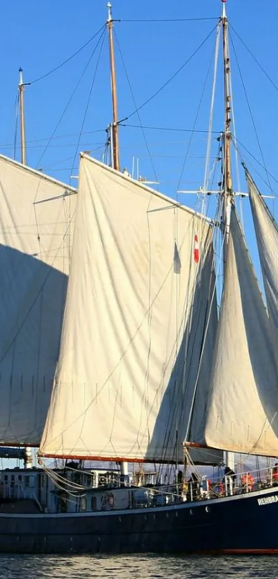 Majestic sailing ship against a vibrant blue sky, gliding over calm waters.