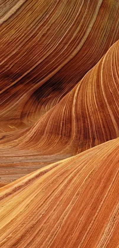 Wavy sandstone formation with earthy colors.