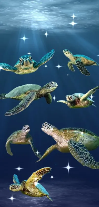 Seven sea turtles swimming gracefully underwater, illuminated by ocean light.