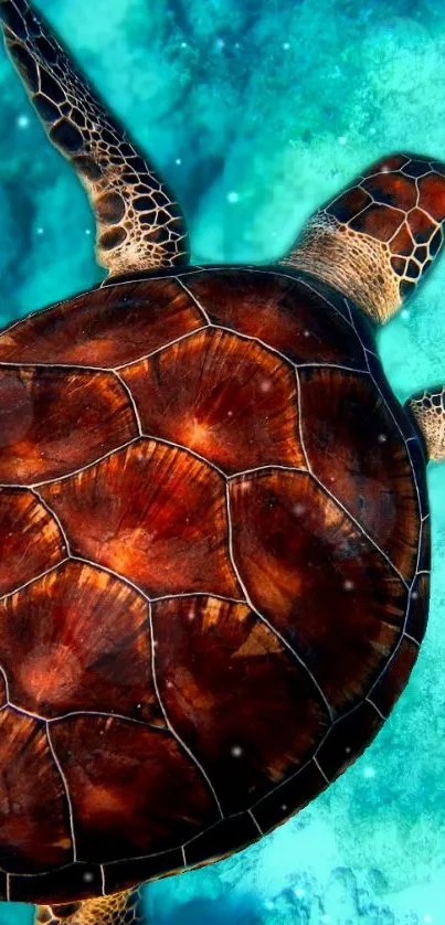 Sea turtle swimming in blue ocean water.