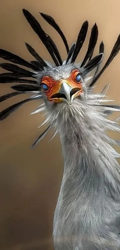 Majestic Secretary Bird with striking plumage in a stunning wallpaper.