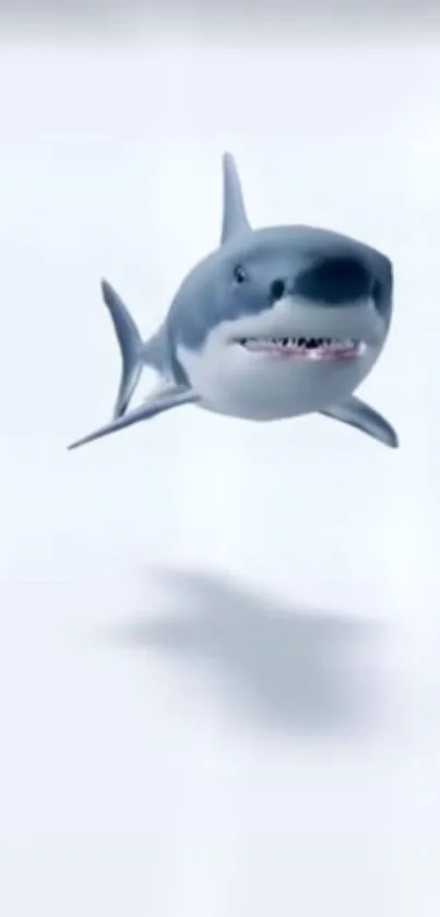 Realistic shark wallpaper with white background.