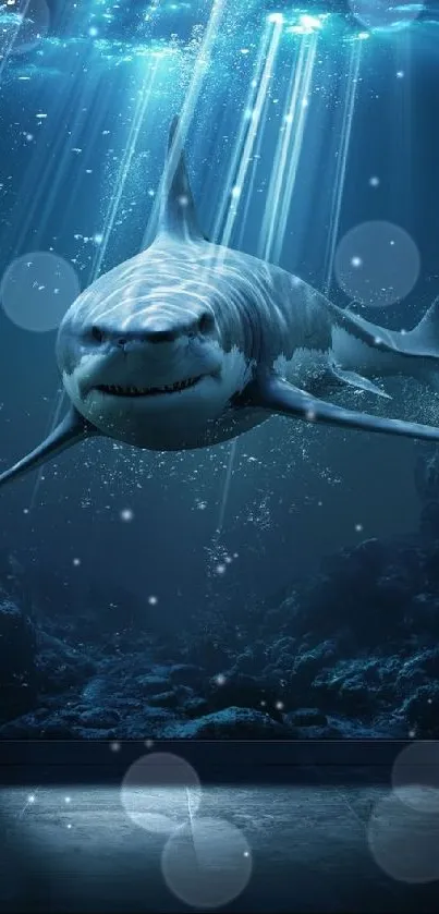 Majestic shark swimming underwater in a dark blue ocean scene.