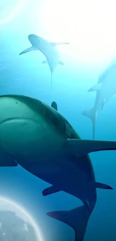 Mobile wallpaper of sharks swimming gracefully in ocean blue water.