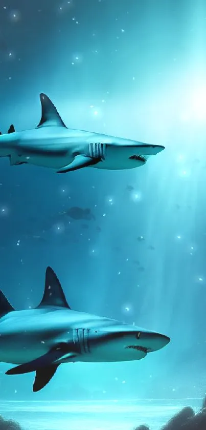 Majestic Sharks Ocean Wallpaper - free download