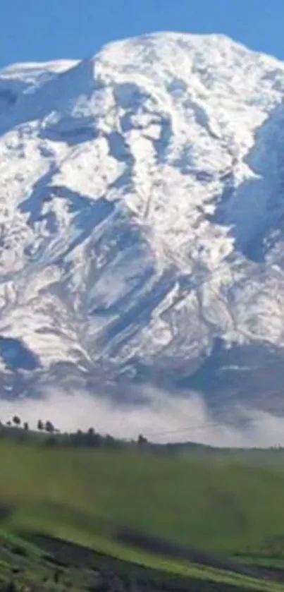 Snow-capped mountain under clear blue sky.