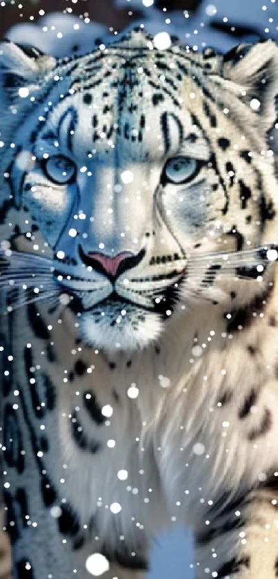 Snow leopard walking through snowy terrain, embodying elegance and strength.