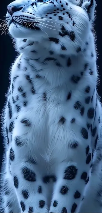 Majestic snow leopard with striking spots on a dark background.