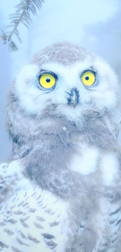 A majestic snow owl with bright yellow eyes on a frosty blue background.