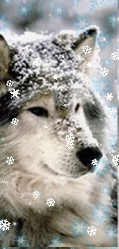 A majestic wolf in snow, creating a serene, natural mobile wallpaper.