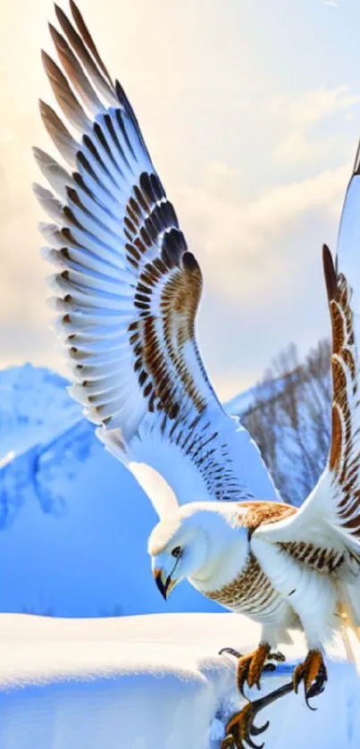 Snowy eagle soaring over mountain landscape with blue sky.