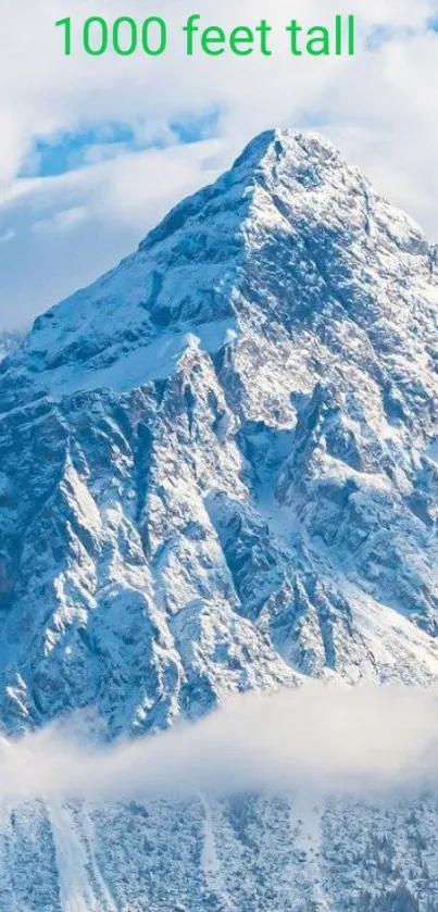 Stunning snowy mountain peak with clear blue sky.