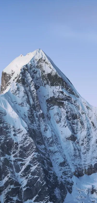 Snowy mountain peak against clear blue sky wallpaper.