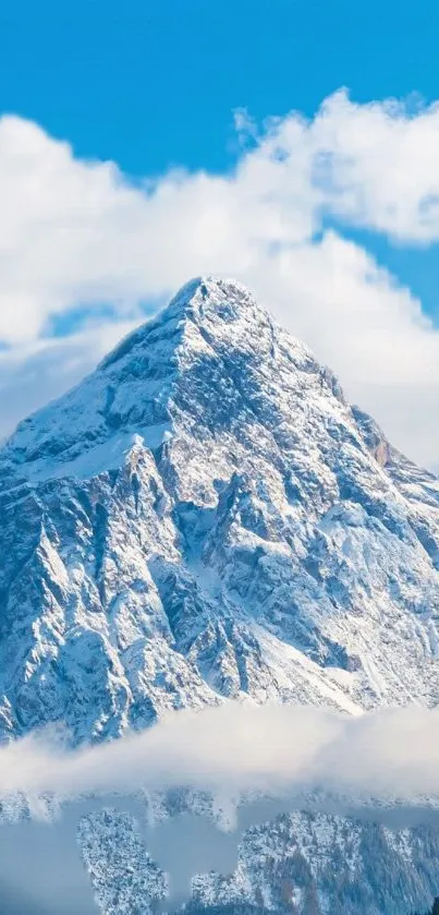 Snow-covered mountains under a bright blue sky.