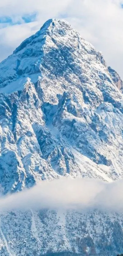 Snowy mountain peak under a clear blue sky