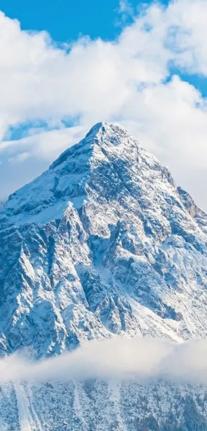 Majestic snowy mountain peak under a clear blue sky.