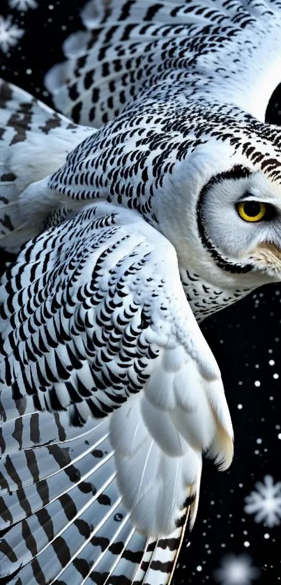 Snowy owl soaring through the starry night sky.