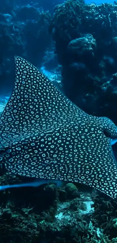 Spotted eagle ray gliding through ocean.