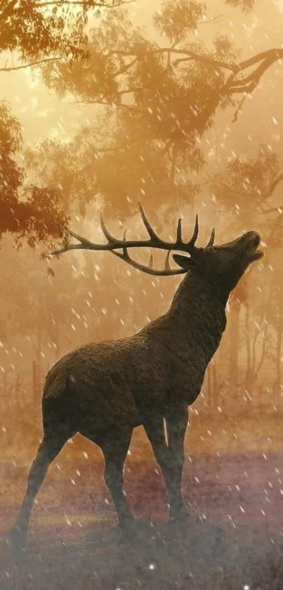 Stag in a misty autumn forest with golden hues.