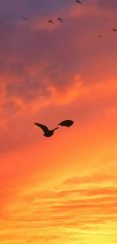 Bird flying against a vibrant orange sunset sky in mobile wallpaper.